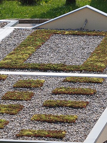 Die ökologische Lösung für das Garagendach - Garagendachbegrünung